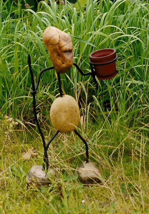 scan0020.jpg